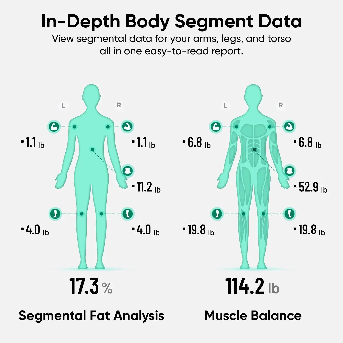 Wyze Scale Ultra BodyScan